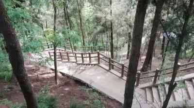 仿樹(shù)皮欄桿